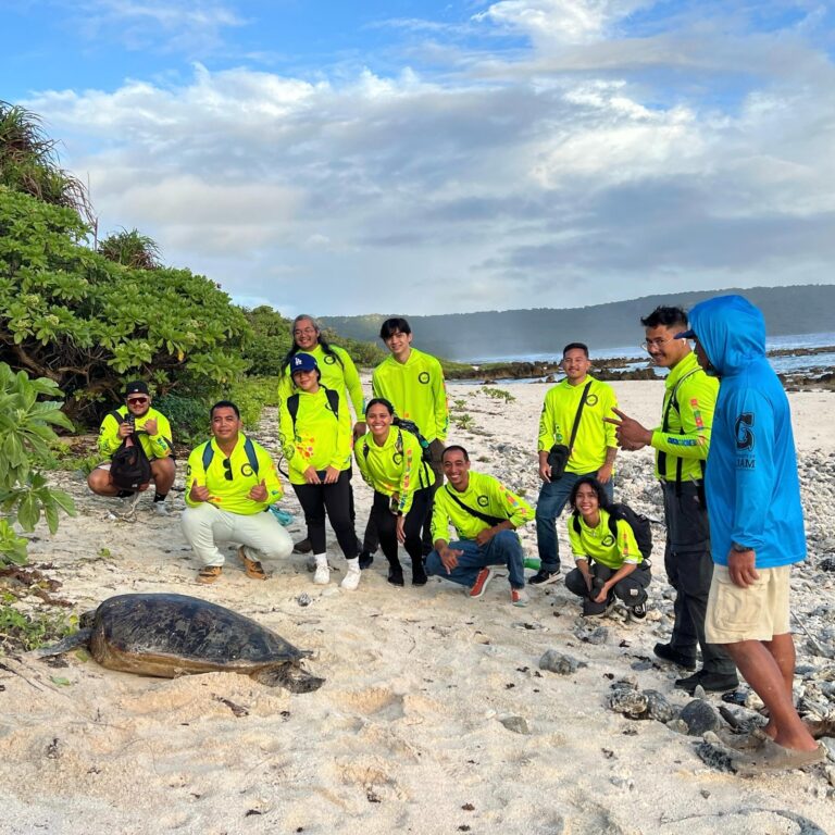G3CC gathered on a sandy beach next to a large sea turtle resting near the shoreline.