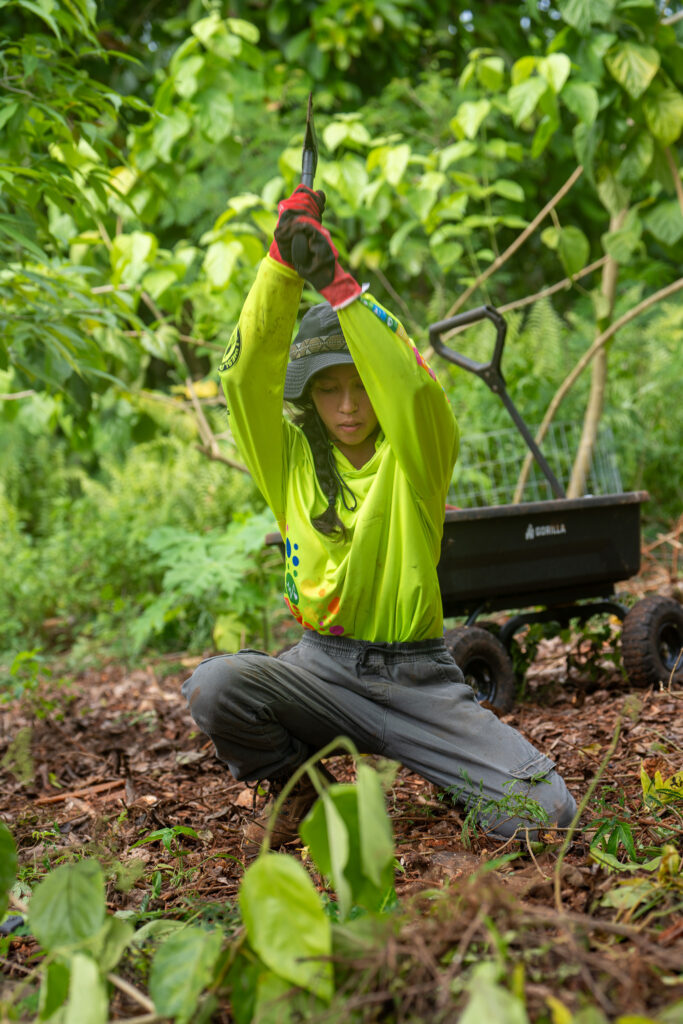 Eyana Pereda, uses a hatchet to remove a tree stump from the Island Girl Power native plant garden.