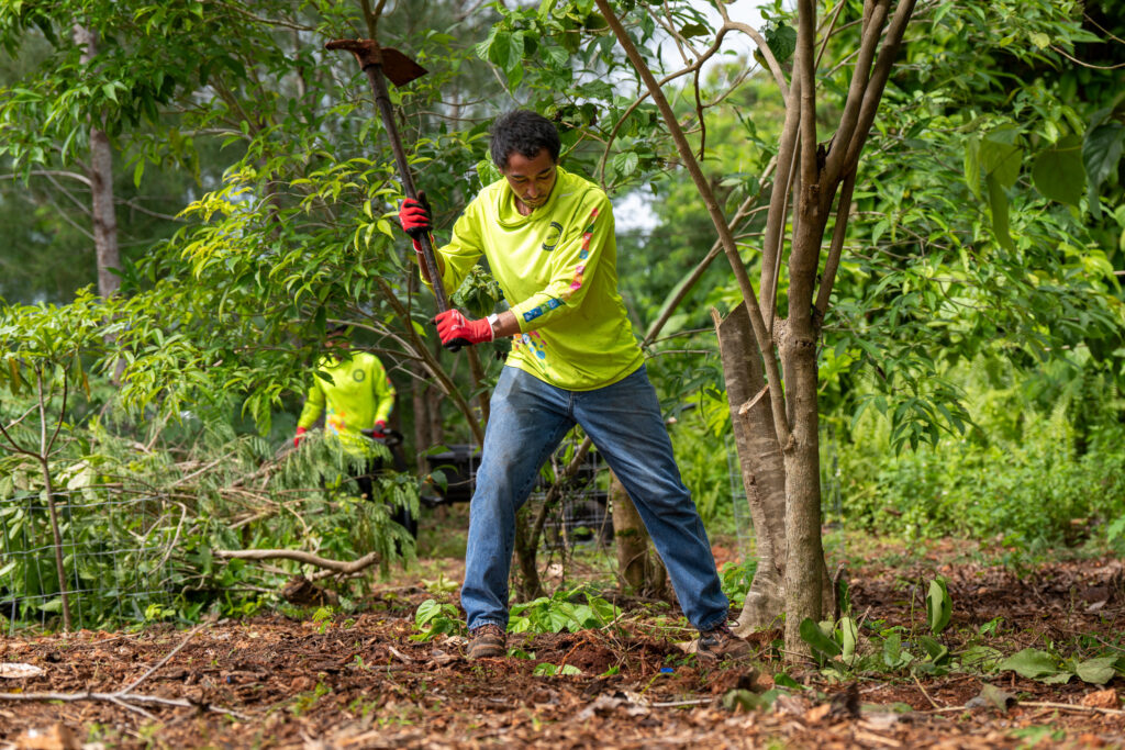 Gideon Tyquienco uses a pickaxe in Island Girl Power's native plant garden to remove a tree stump.