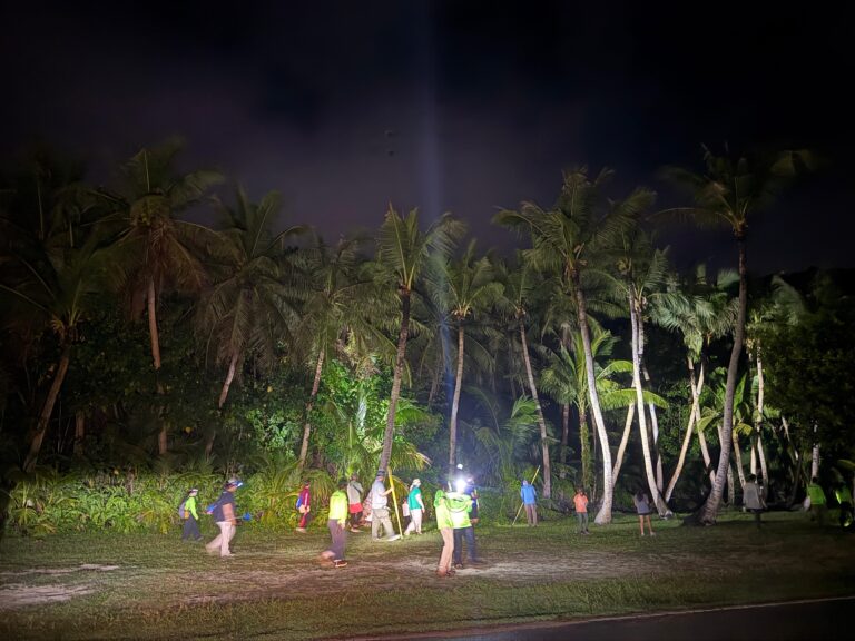 A group of volunteers conducts a night hunt under a dark sky, using flashlights and headlamps to illuminate a dense grove of palm trees as they search for invasive brown treesnakes.