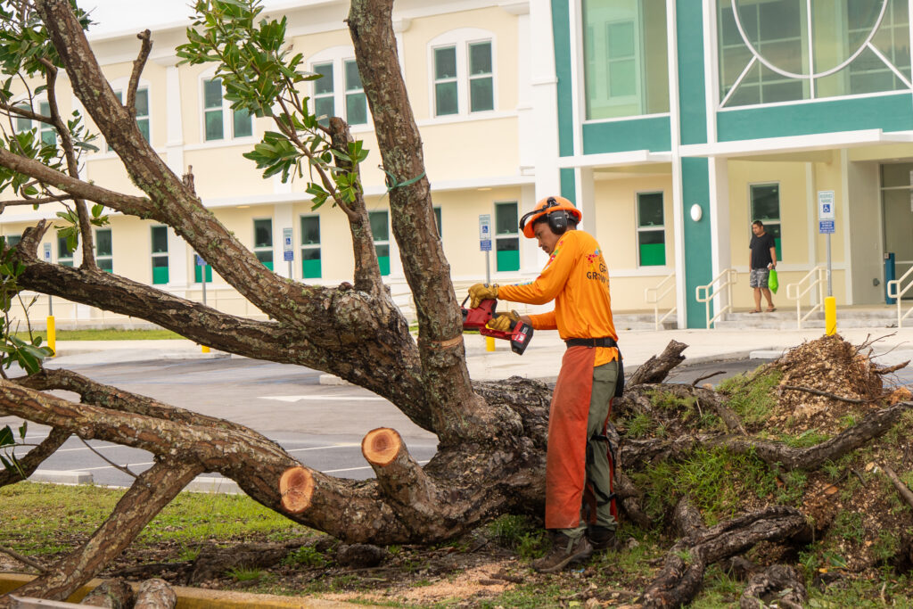 G3CC supervisors removing a downed tree removal with a chainsaw.