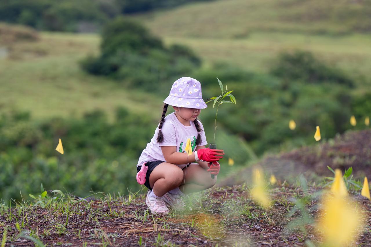 A young girl kneeling in a field to plant a seedling with yellow marker flags in the background