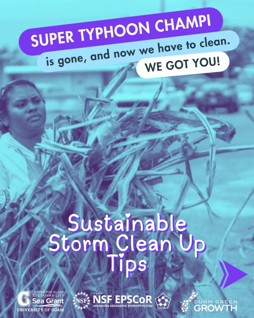 Sustainable Cleanup Tips 01