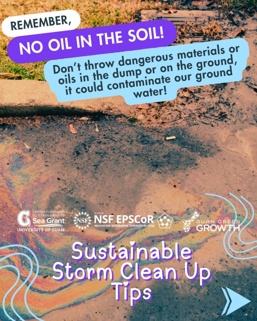 Sustainable Cleanup Tips 02