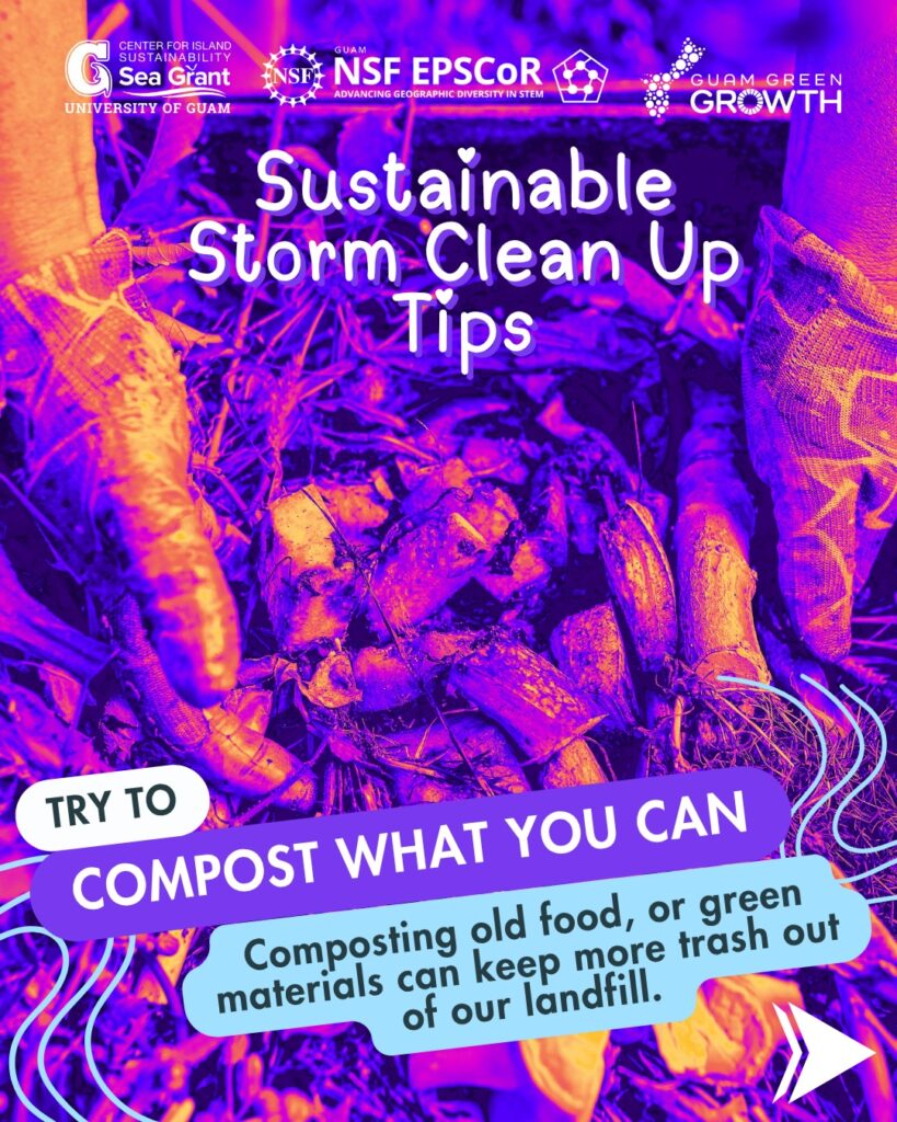 Sustainable Cleanup Tips 03