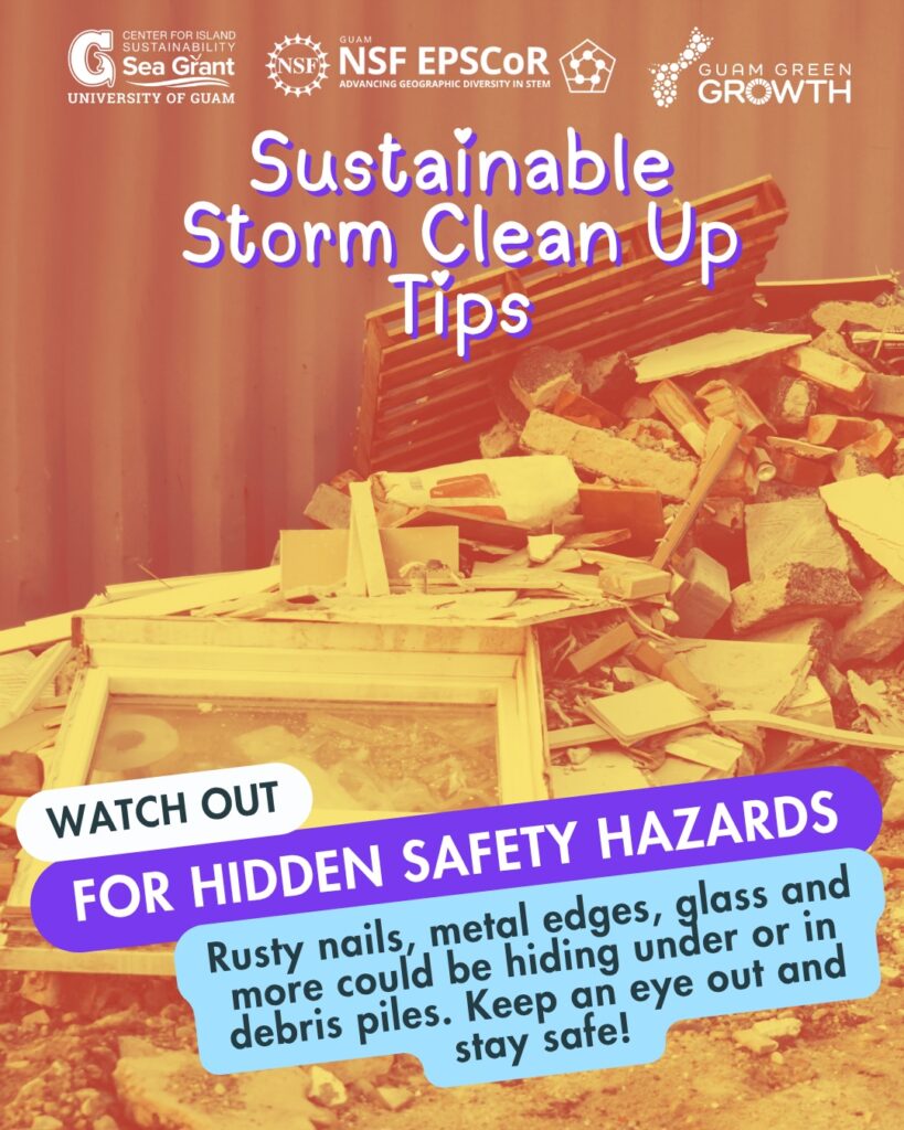 Sustainable Cleanup Tips 04