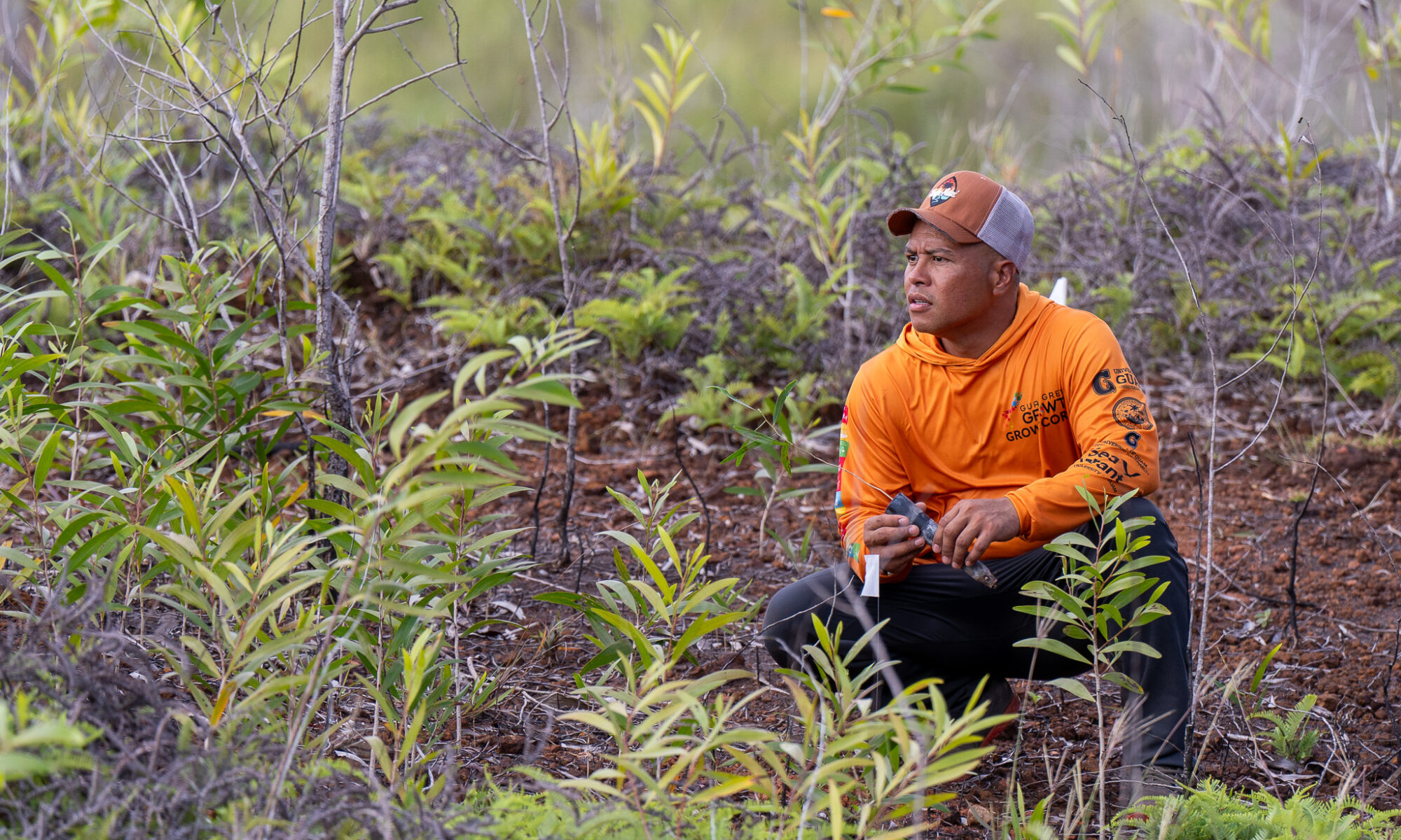 A Guam Green Growth GROW Conservation Corps member kneeling on a grassy ridge to plant seedlings,